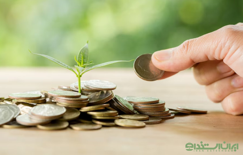 استخدام خزانه دار