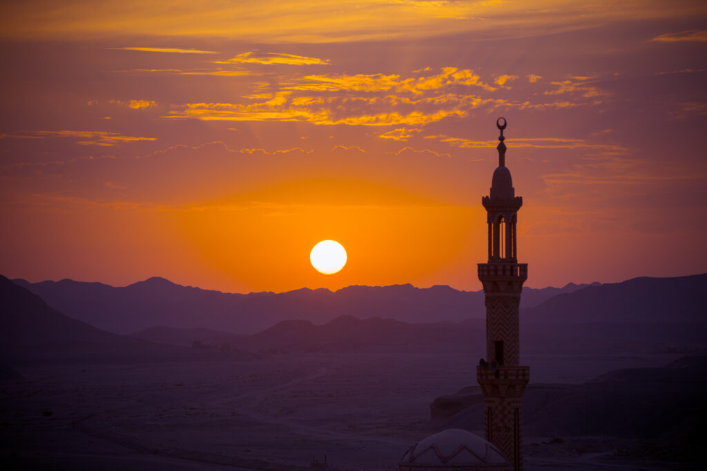 استخدام مشهد