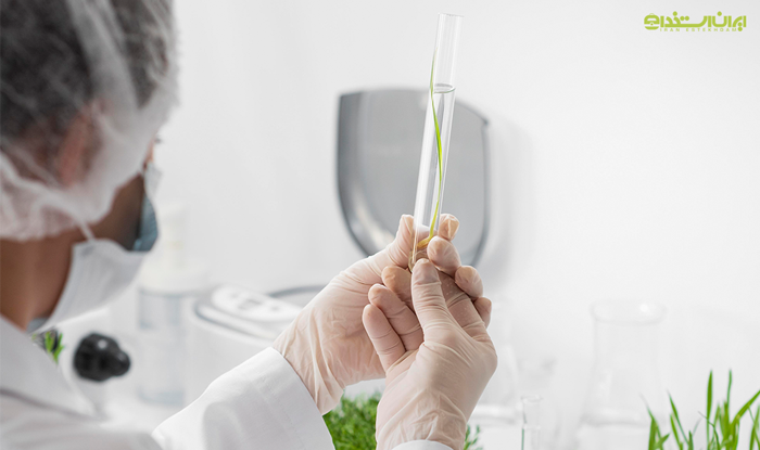 پزشک-گیاه