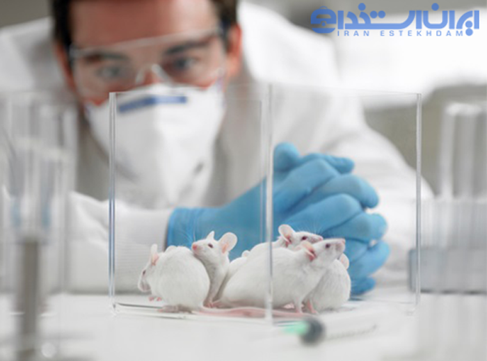 بازار کار رشته جانورشناسی (زیست شناسی جانوری)