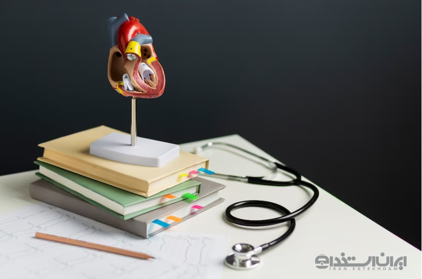 رشته علوم تشریح