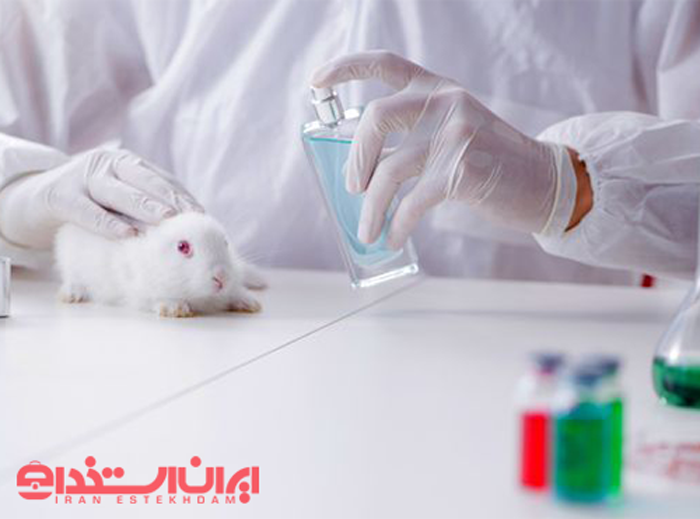 بازار کار رشته جانورشناسی (زیست شناسی جانوری)