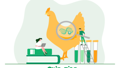 بازار کار رشته جانورشناسی (زیست شناسی جانوری)