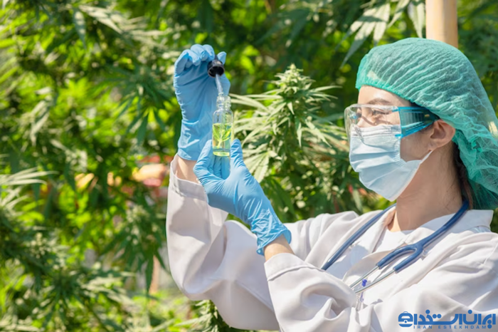 معرفی رشته گیاهان پزشکی