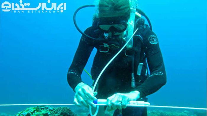 رشته اقیانوس شناسی چیست