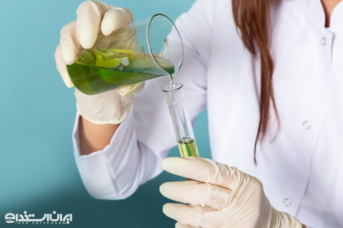 معرفی رشته گیاهان دارویی