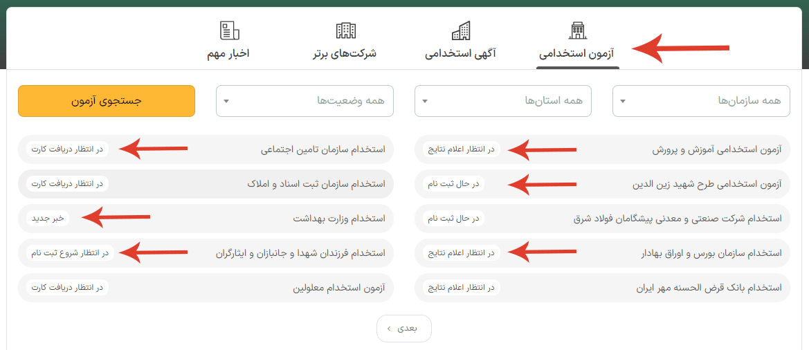 استخدام دولتی