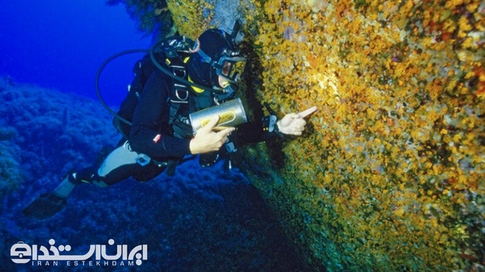 رشته اقیانوس شناسی چیست
