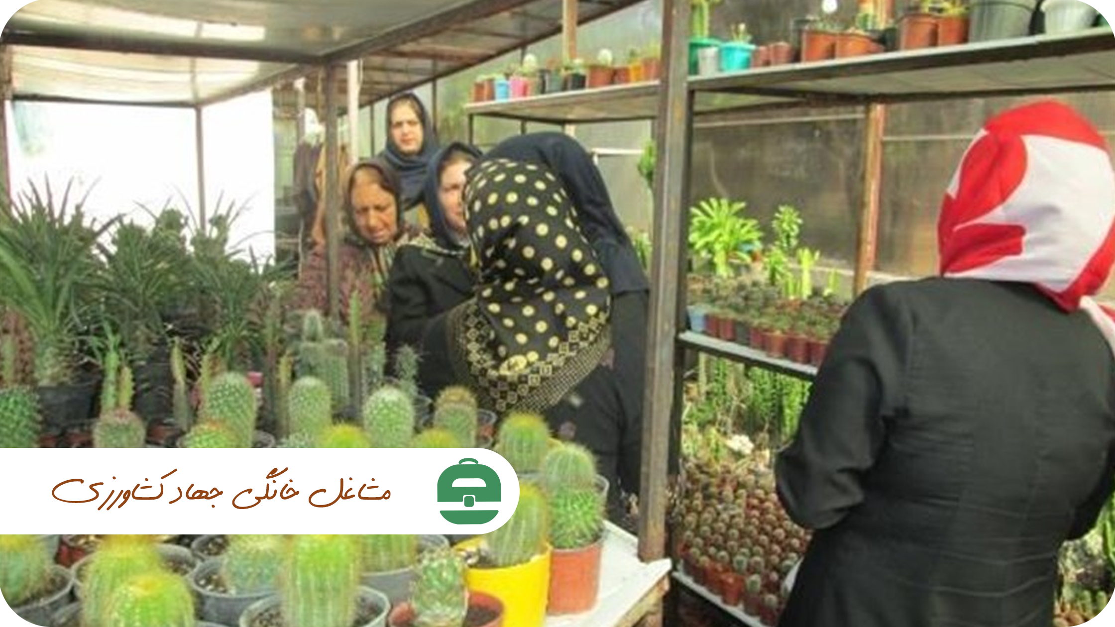 مشاغل خانگی جهاد کشاورزی