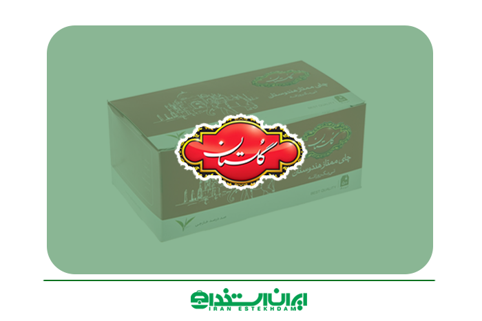 جدیدترین فرصت‌های شغلی چای گلستان | آذرماه 1404