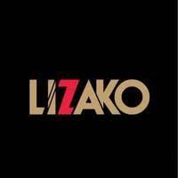استخدام شرکت لیزاکو