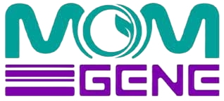 استخدام برنامه نویس front-end