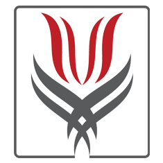 استخدام یگان حفاظت