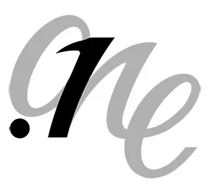 فرم استخدام دات وان