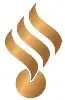 پیشگامان آسا حساب