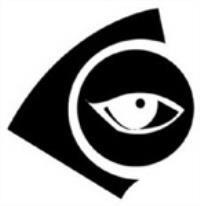 استخدام نیروی حفاظت فیزیکی