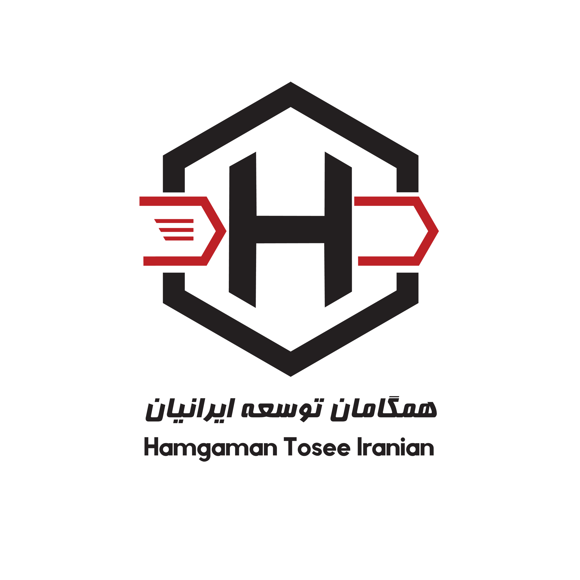 همگامان توسعه ایرانیان