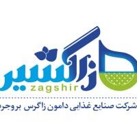 دامون زاگرس بروجرد