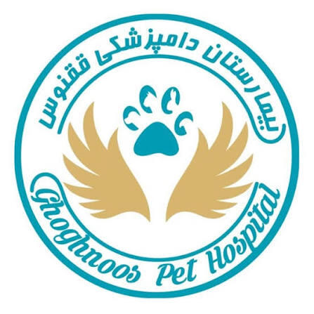 بیمارستان دامپزشکی ققنوس