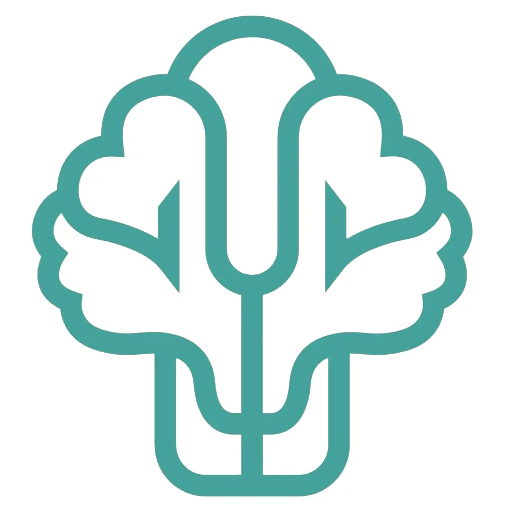 استخدام منشی