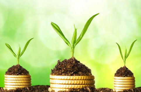 حمایت از کارآفرینان دارای ایده‌های نو